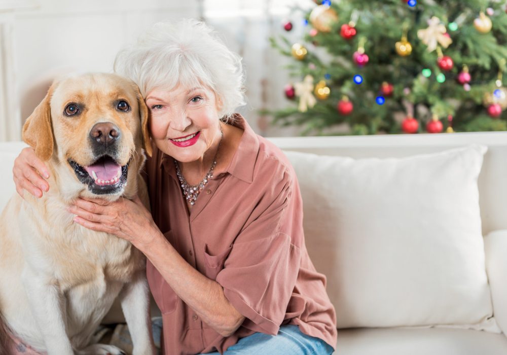 My best friend. Portrait of elegant old woman is sitting on couch with Christmas tree on background and hugging her dog with smile. She is looking at camera with joy. Copy space on the right side